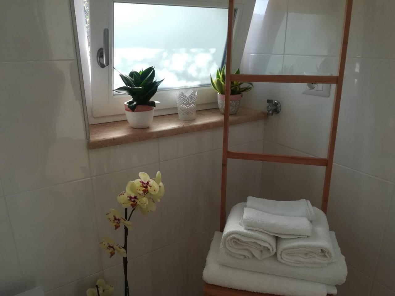 B&b Il sogno Santa Maria di Castellabate Eksteriør billede