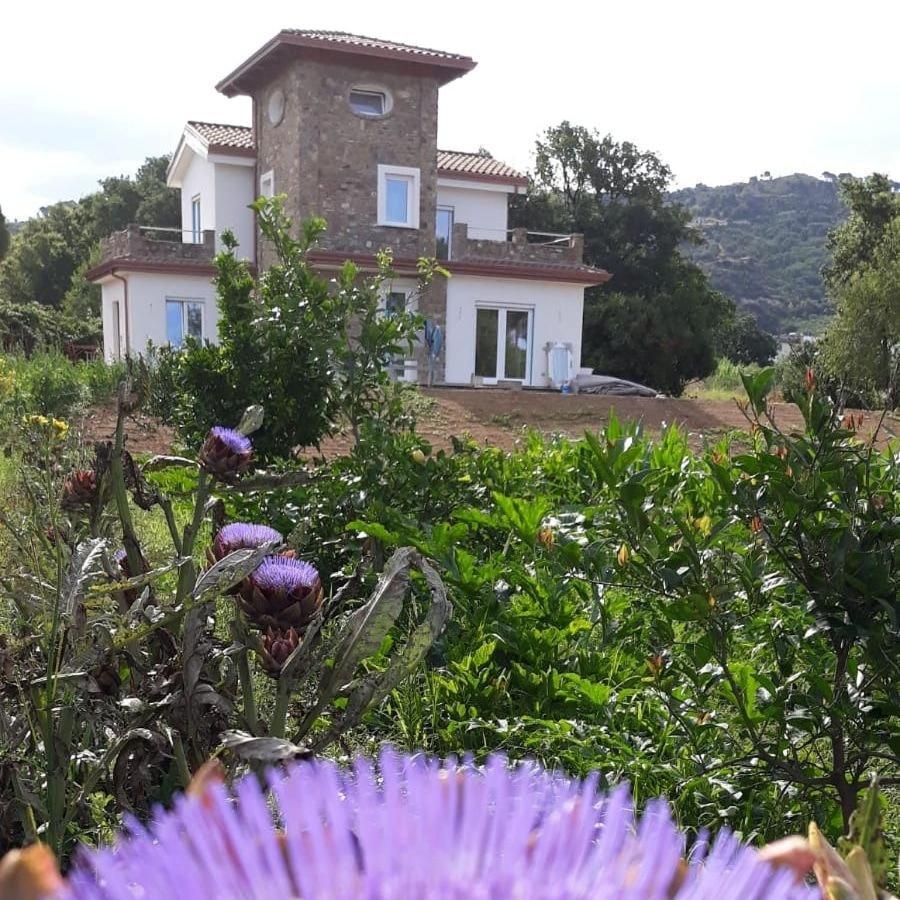 B&b Il sogno Santa Maria di Castellabate Eksteriør billede
