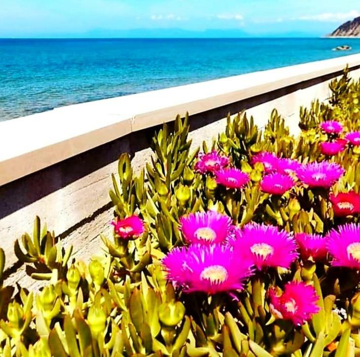 B&b Il sogno Santa Maria di Castellabate Eksteriør billede