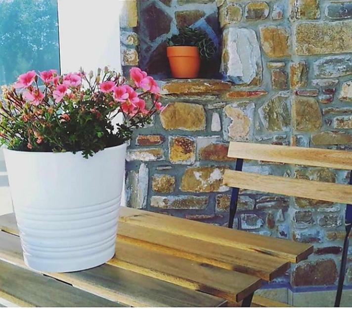 B&b Il sogno Santa Maria di Castellabate Eksteriør billede