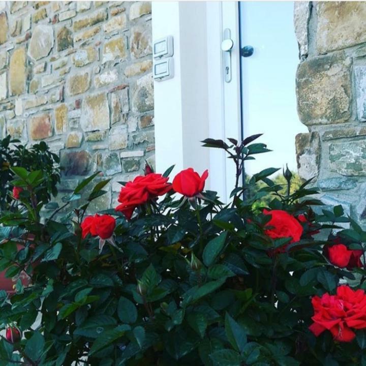 B&b Il sogno Santa Maria di Castellabate Eksteriør billede